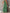 Maxi Halterjurk met Ruffles en Elegante Pasvorm – Sarah