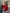 Rode off-shoulder gebreide top voor dames – Bella