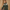 Noors Gebreid Vest voor Dames – Lotte
