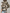 Bloemenprint bomberjack voor dames – Lotte